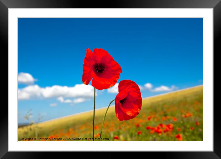 Two Red Poppies Framed Mounted Print by Christine Kerioak