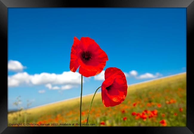 Two Red Poppies Framed Print by Christine Kerioak