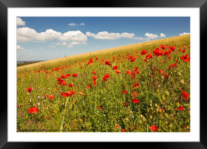 Wildflower meadow including poppies near Lewes Framed Mounted Print by Christine Kerioak