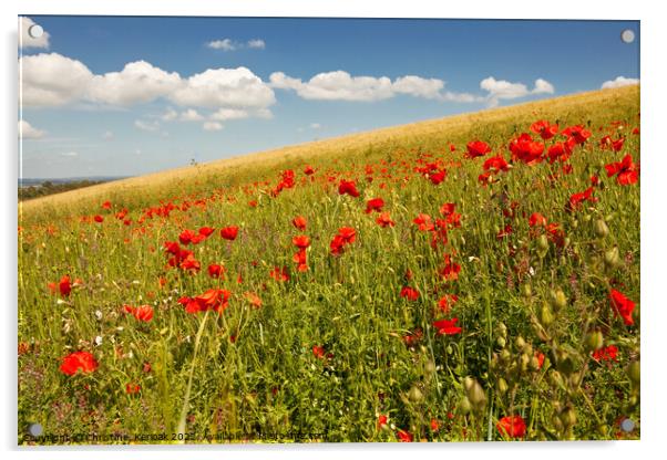 Wildflower meadow including poppies near Lewes Acrylic by Christine Kerioak