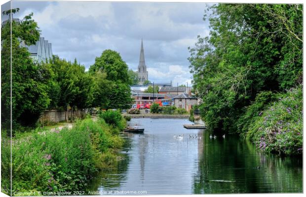 Chichester Catherdral and Canal View Canvas Print by Diana Mower