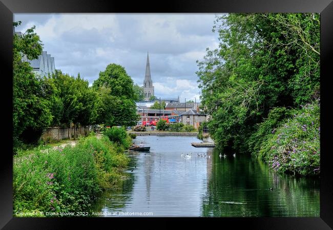 Chichester Catherdral and Canal View Framed Print by Diana Mower