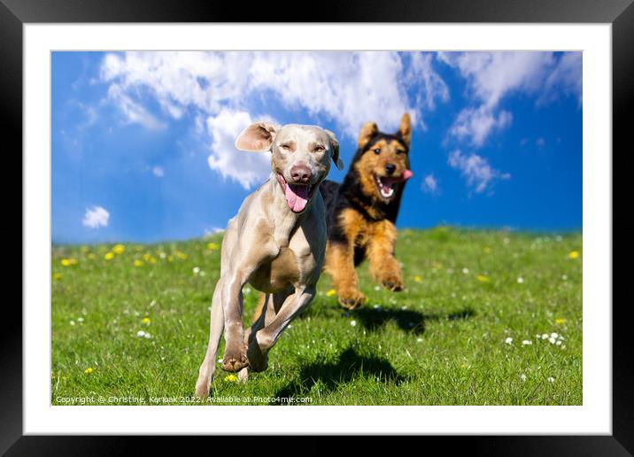 Two Happy Dogs Framed Mounted Print by Christine Kerioak