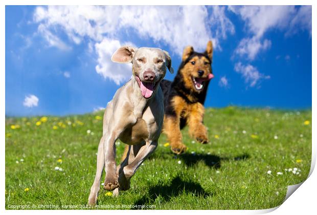 Two Happy Dogs Print by Christine Kerioak