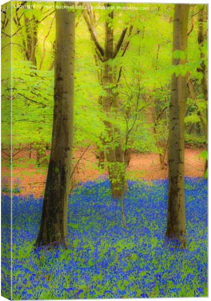 Dreamy Bluebell Wood Outdoor Nature Canvas Print by Pearl Bucknall