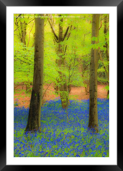 Dreamy Bluebell Wood Outdoor Nature Framed Mounted Print by Pearl Bucknall