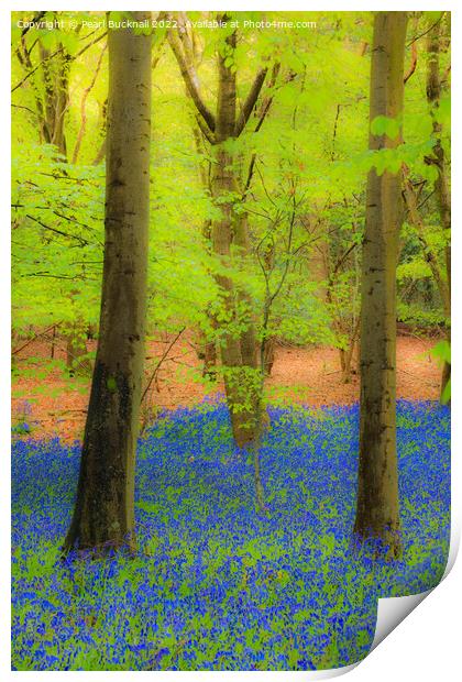 Dreamy Bluebell Wood Outdoor Nature Print by Pearl Bucknall
