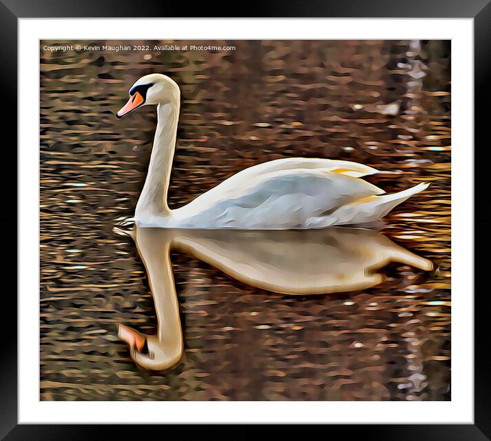 Swan Reflection (Digital Art) Framed Mounted Print by Kevin Maughan