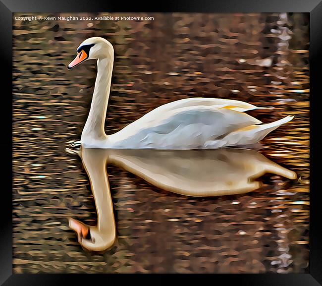 Swan Reflection (Digital Art) Framed Print by Kevin Maughan