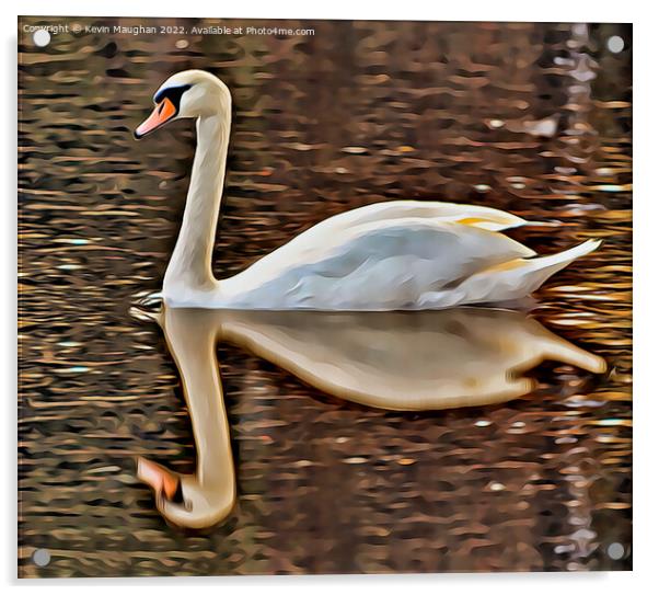 Swan Reflection (Digital Art) Acrylic by Kevin Maughan