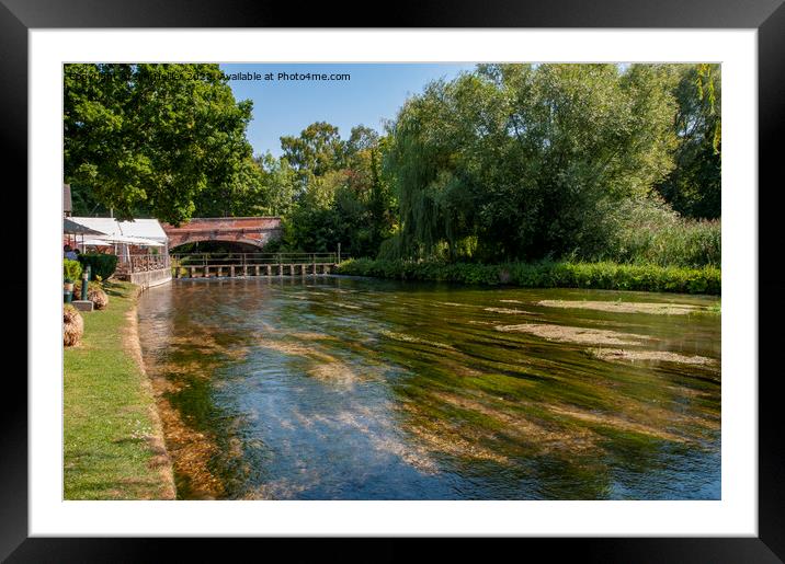 Lunch By The River Test Framed Mounted Print by Jim Hellier