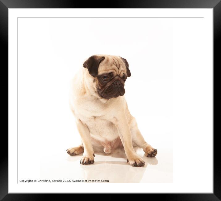 Pug Looking Down Framed Mounted Print by Christine Kerioak