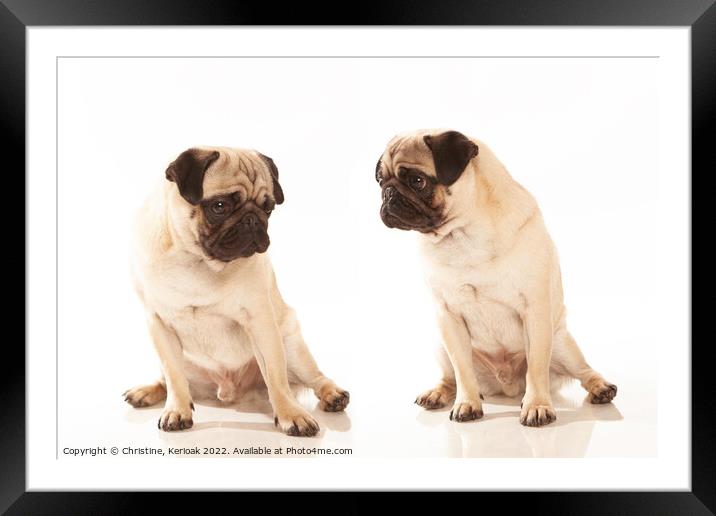 Two Pugs Framed Mounted Print by Christine Kerioak