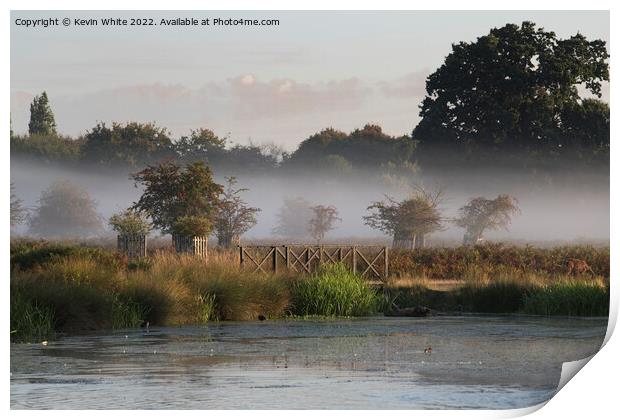 Late summer morning mist Print by Kevin White