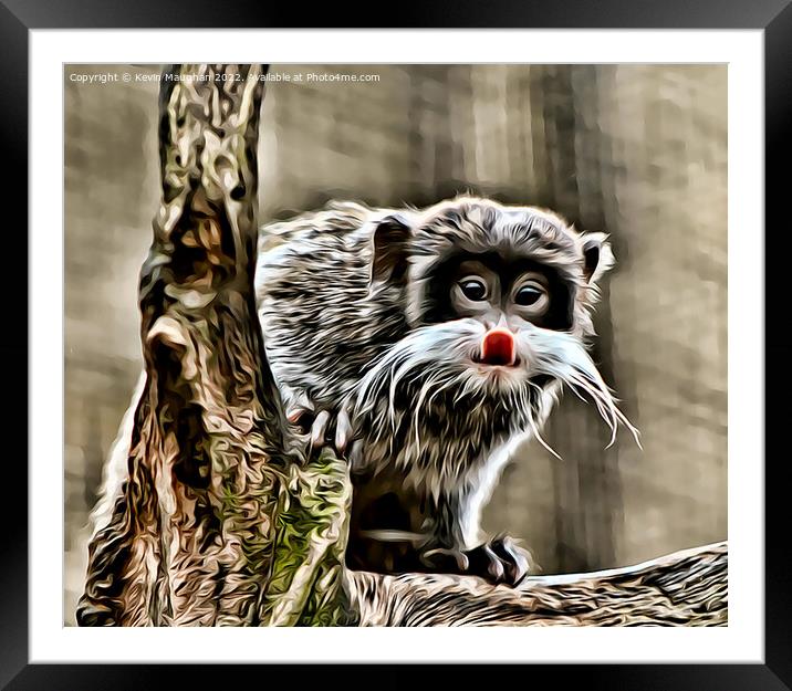 The Emperor Tamarin (Digital Art) Framed Mounted Print by Kevin Maughan