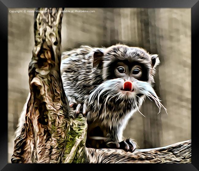The Emperor Tamarin (Digital Art) Framed Print by Kevin Maughan