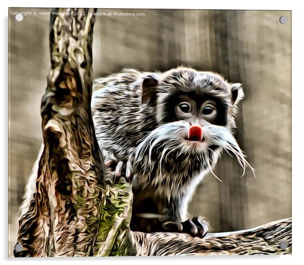 The Emperor Tamarin (Digital Art) Acrylic by Kevin Maughan