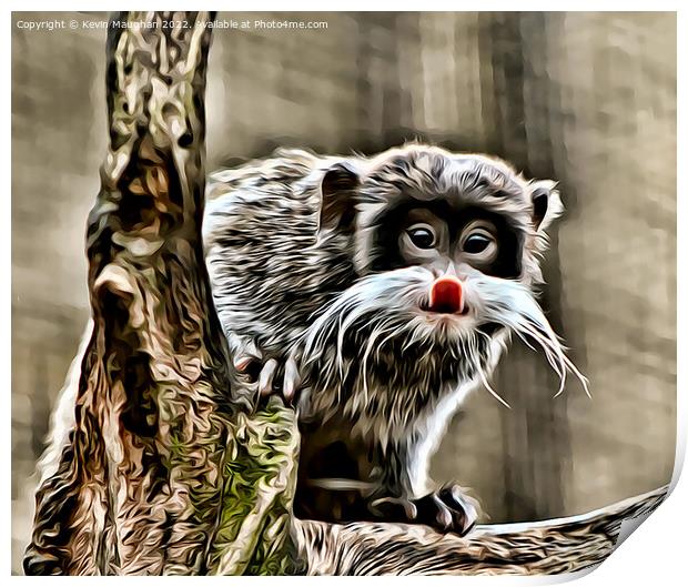 The Emperor Tamarin (Digital Art) Print by Kevin Maughan