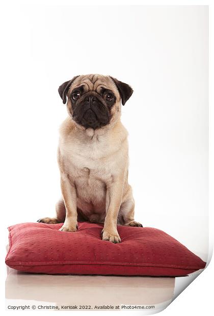 Pug Sitting on a Cushion Print by Christine Kerioak