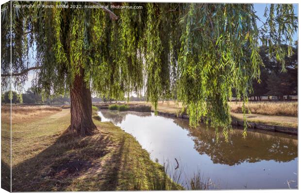 Willow tree long shadows Canvas Print by Kevin White