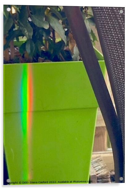 Natural Prism Rainbow refracted on planter. Acrylic by DEE- Diana Cosford