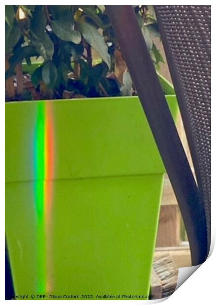 Natural Prism Rainbow refracted on planter. Print by DEE- Diana Cosford
