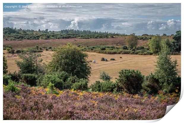 New Forest landscape Print by Sue Knight