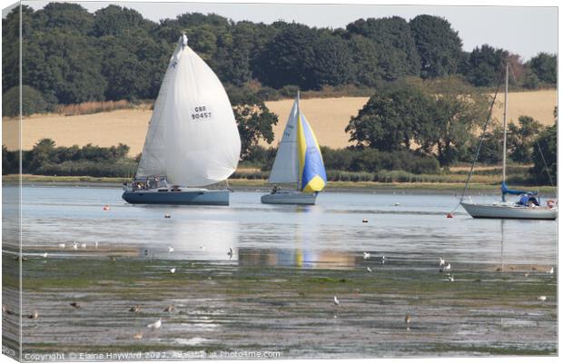 Sailing on the River Orwell at Pin Mill Canvas Print by Elaine Hayward