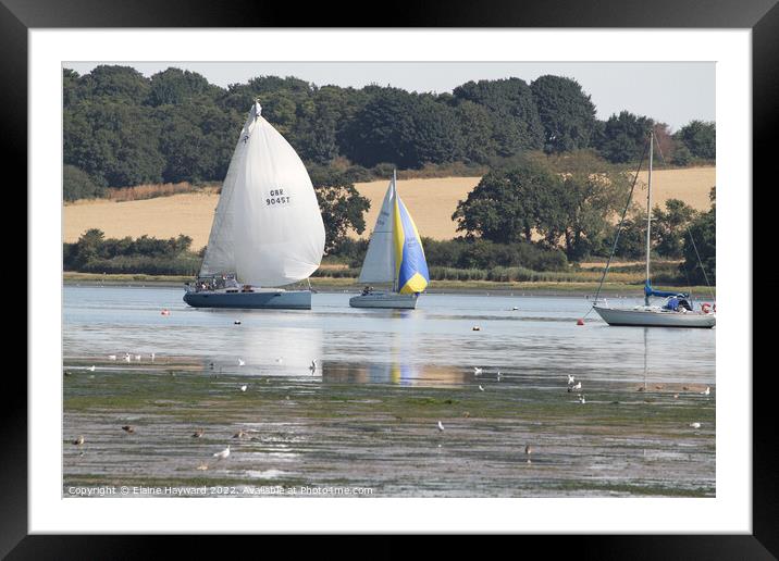Sailing on the River Orwell at Pin Mill Framed Mounted Print by Elaine Hayward