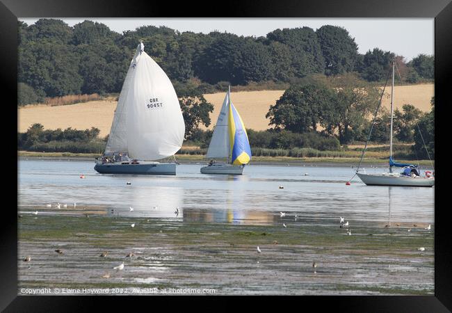 Sailing on the River Orwell at Pin Mill Framed Print by Elaine Hayward
