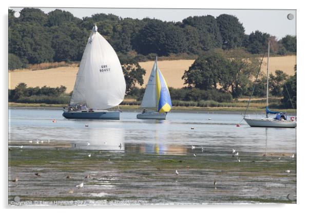 Sailing on the River Orwell at Pin Mill Acrylic by Elaine Hayward