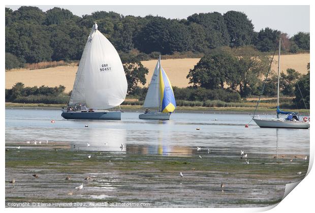 Sailing on the River Orwell at Pin Mill Print by Elaine Hayward