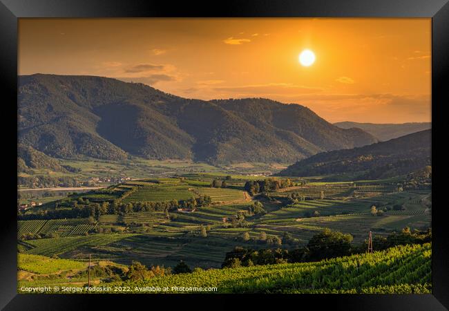 Picturesque landscape with vineyards in Wachau valley. Krems region. Lower Austria Framed Print by Sergey Fedoskin