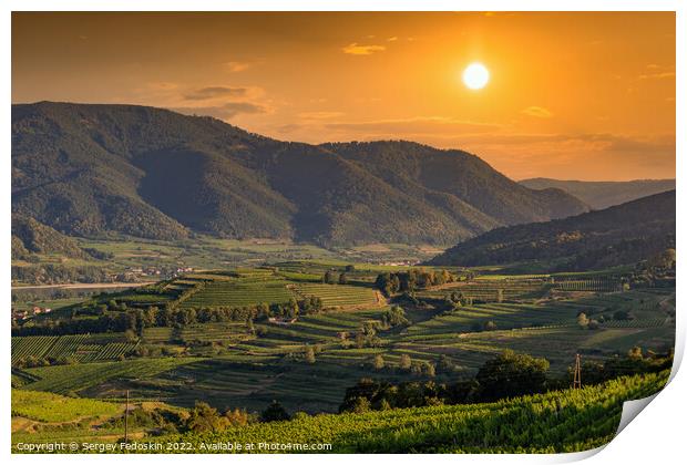 Picturesque landscape with vineyards in Wachau valley. Krems region. Lower Austria Print by Sergey Fedoskin