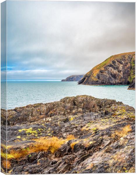 Ceibwr Coast Canvas Print by Mark Llewellyn