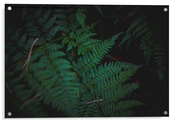 Dark and moody fern leaves background with selective focus. Acrylic by Kristof Bellens