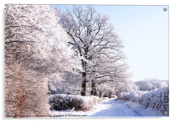 Country Lane Under Snow Acrylic by Christine Kerioak