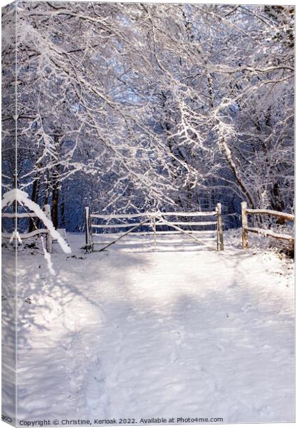 Entrance Gate to Winter Wonderland Canvas Print by Christine Kerioak
