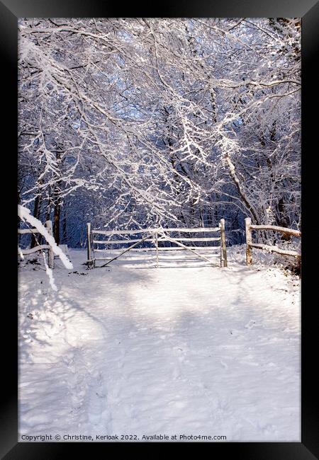 Entrance Gate to Winter Wonderland Framed Print by Christine Kerioak