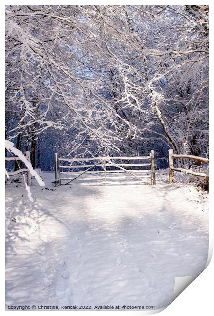 Entrance Gate to Winter Wonderland Print by Christine Kerioak