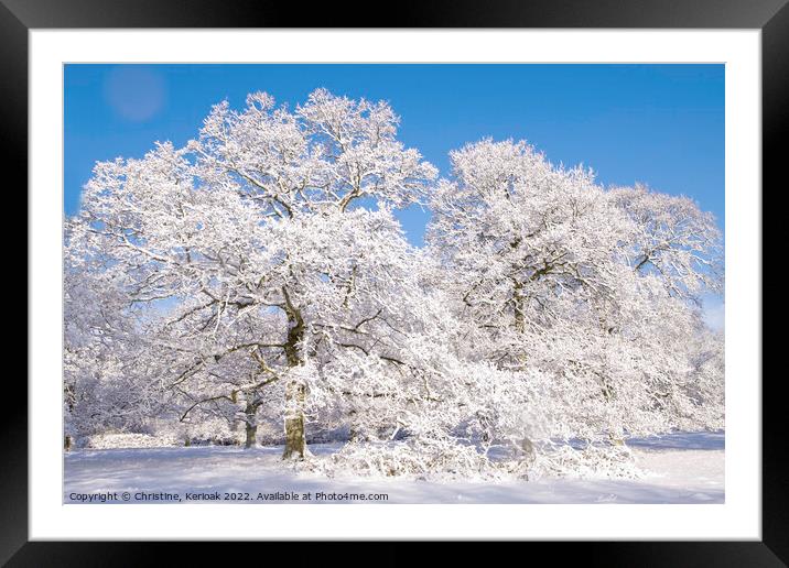 Snow Covered Oak Trees Framed Mounted Print by Christine Kerioak