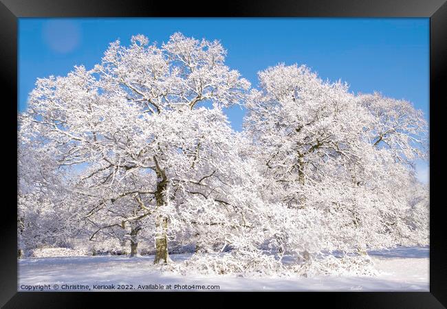Snow Covered Oak Trees Framed Print by Christine Kerioak
