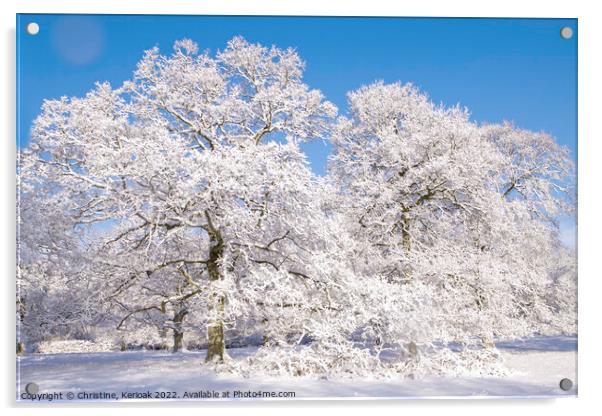 Snow Covered Oak Trees Acrylic by Christine Kerioak