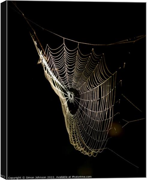 sunlit Cobweb Canvas Print by Simon Johnson