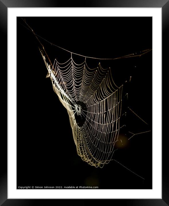 sunlit Cobweb Framed Mounted Print by Simon Johnson