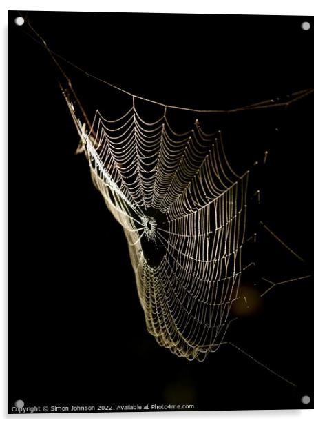 sunlit Cobweb Acrylic by Simon Johnson