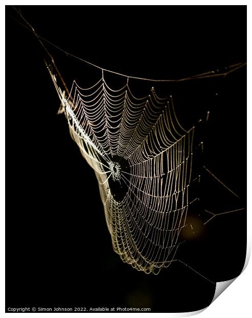 sunlit Cobweb Print by Simon Johnson