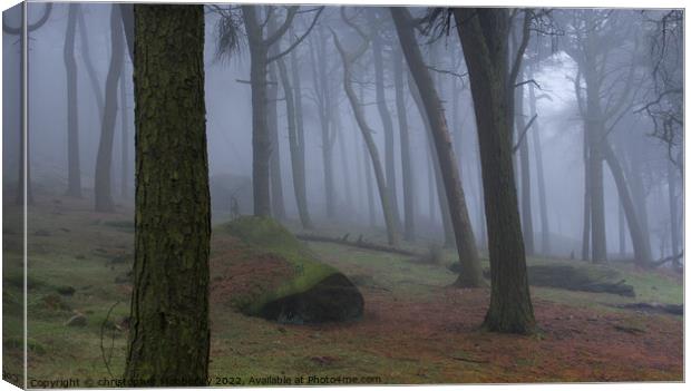 Misty woodland Buxton  Canvas Print by Chris Mobberley