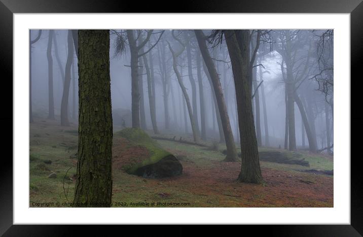 Misty woodland Buxton  Framed Mounted Print by Chris Mobberley