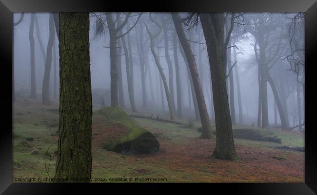 Misty woodland Buxton  Framed Print by Chris Mobberley
